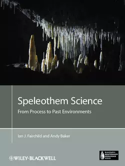 Speleothem Science. From Process to Past Environments, Baker Andy