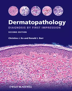 Dermatopathology. Diagnosis by First Impression, Ko Christine