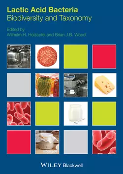 Lactic Acid Bacteria. Biodiversity and Taxonomy, Wood Brian