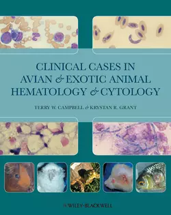 Clinical Cases in Avian and Exotic Animal Hematology and Cytology, Grant Krystan