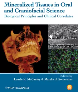 Mineralized Tissues in Oral and Craniofacial Science. Biological Principles and Clinical Correlates, Somerman Martha