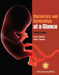 Obstetrics and Gynecology at a Glance, Norwitz Errol