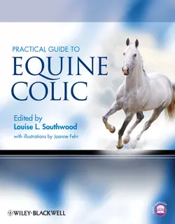 Practical Guide to Equine Colic Fehr Joanne и Southwood Louise