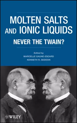 Molten Salts and Ionic Liquids. Never the Twain?, Seddon Kenneth