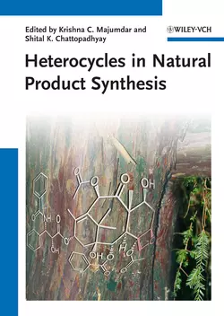 Heterocycles in Natural Product Synthesis, Chattopadhyay Shital