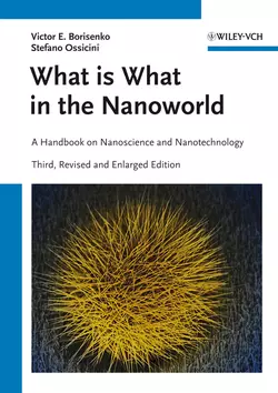 What is What in the Nanoworld. A Handbook on Nanoscience and Nanotechnology, Ossicini Stefano