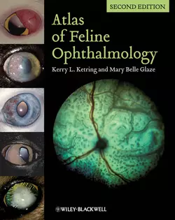 Atlas of Feline Ophthalmology, Glaze Mary