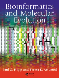 Bioinformatics and Molecular Evolution, Higgs Paul