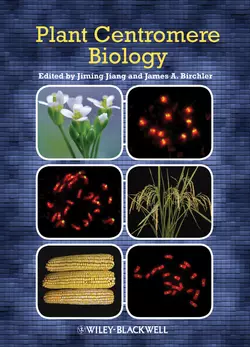 Plant Centromere Biology, Jiang Jiming