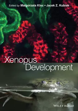 Xenopus Development, Kubiak Jacek