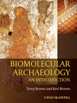 Biomolecular Archaeology. An Introduction Brown T. и Brown Keri