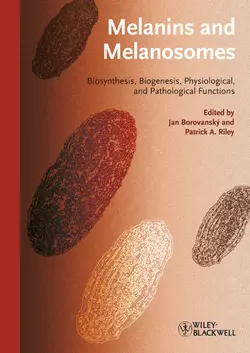 Melanins and Melanosomes. Biosynthesis, Structure, Physiological and Pathological Functions, Borovansky Jan