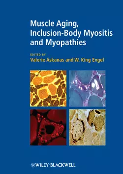 Muscle Aging  Inclusion-Body Myositis and Myopathies Engel W. и Askanas Valerie