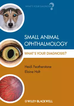 Small Animal Ophthalmology. What′s Your Diagnosis?, Featherstone Heidi