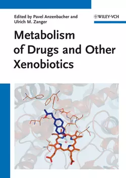 Metabolism of Drugs and Other Xenobiotics, Anzenbacher Pavel