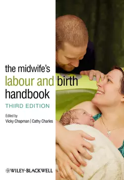 The Midwife′s Labour and Birth Handbook Charles Cathy и Chapman Vicky