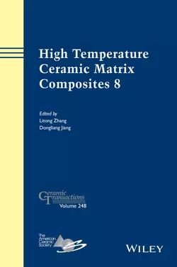 High Temperature Ceramic Matrix Composites 8, Zhang Litong