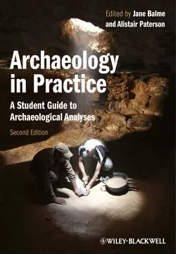 Archaeology in Practice. A Student Guide to Archaeological Analyses, Paterson Alistair