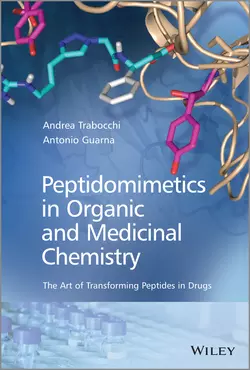 Peptidomimetics in Organic and Medicinal Chemistry, Trabocchi Andrea