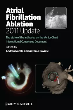 Atrial Fibrillation Ablation, 2011 Update. The State of the Art based on the VeniceChart International Consensus Document, Raviele Antonio