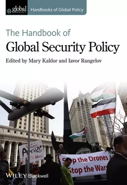 The Handbook of Global Security Policy, Kaldor Mary