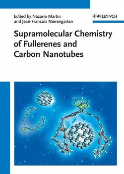 Supramolecular Chemistry of Fullerenes and Carbon Nanotubes, Martín Nazario