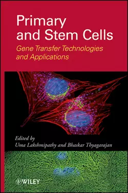 Primary and Stem Cells. Gene Transfer Technologies and Applications, Thyagarajan Bhaskar