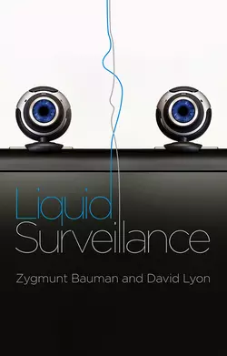 Liquid Surveillance. A Conversation Zygmunt Bauman и Lyon David