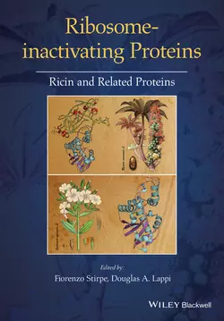 Ribosome-inactivating Proteins. Ricin and Related Proteins, Lappi Douglas