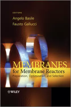 Membranes for Membrane Reactors. Preparation, Optimization and Selection, Gallucci Fausto