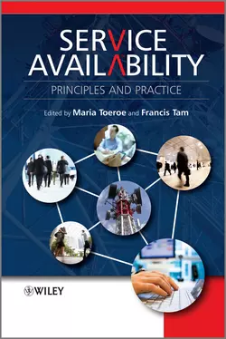 Service Availability. Principles and Practice, Toeroe Maria