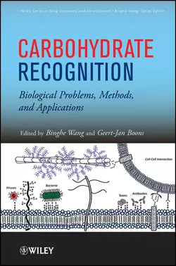 Carbohydrate Recognition. Biological Problems, Methods, and Applications, Wang Binghe