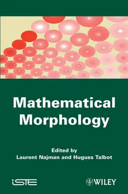 Mathematical Morphology. From Theory to Applications, Talbot Hugues