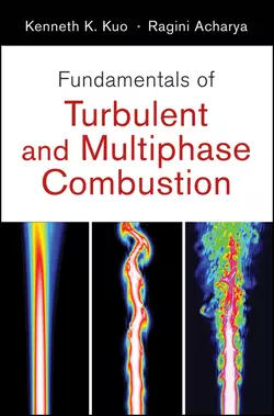 Fundamentals of Turbulent and Multi-Phase Combustion, Acharya Ragini