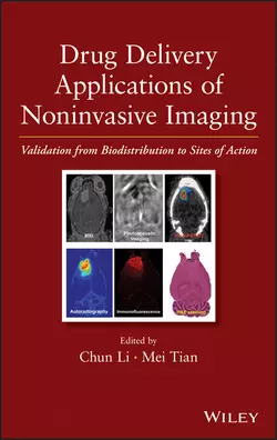 Drug Delivery Applications of Noninvasive Imaging. Validation from Biodistribution to Sites of Action, Li Chun