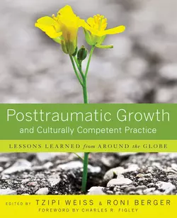 Posttraumatic Growth and Culturally Competent Practice. Lessons Learned from Around the Globe, Weiss Tzipi