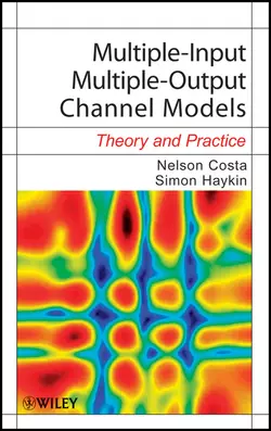 Multiple-Input Multiple-Output Channel Models. Theory and Practice, Costa Nelson