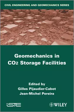 Geomechanics in CO2 Storage Facilities, Pijaudier-Cabot Gilles