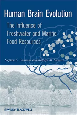 Human Brain Evolution. The Influence of Freshwater and Marine Food Resources Stewart Kathlyn и Cunnane Stephen