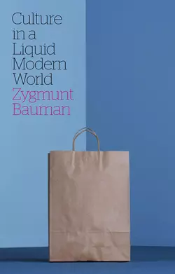 Culture in a Liquid Modern World, Zygmunt Bauman