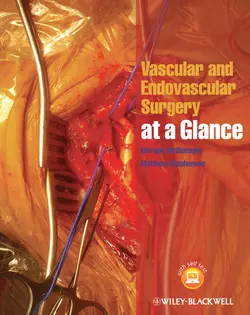 Vascular and Endovascular Surgery at a Glance Stephenson Matthew и McMonagle Morgan