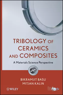 Tribology of Ceramics and Composites. Materials Science Perspective, Kalin Mitjan