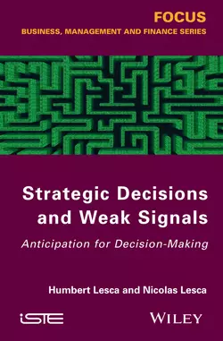 Strategic Decisions and Weak Signals. Anticipation for Decision-Making, Lesca Nicolas