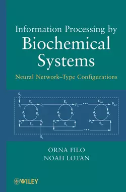 Information Processing by Biochemical Systems. Neural Network-Type Configurations, Filo Orna