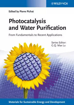 Photocatalysis and Water Purification. From Fundamentals to Recent Applications, Lu Max