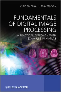 Fundamentals of Digital Image Processing. A Practical Approach with Examples in Matlab, Breckon Toby