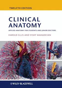 Clinical Anatomy. Applied Anatomy for Students and Junior Doctors, Ellis Harold