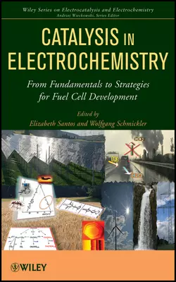 Catalysis in Electrochemistry. From Fundamental Aspects to Strategies for Fuel Cell Development, Schmickler Wolfgang