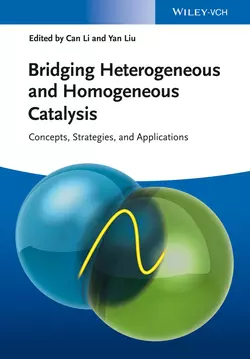 Bridging Heterogeneous and Homogeneous Catalysis. Concepts, Strategies, and Applications, Liu Yan