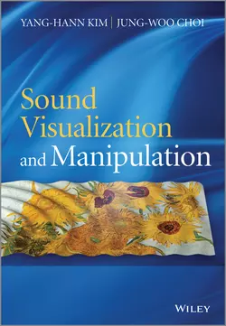 Sound Visualization and Manipulation, Choi Jung-Woo